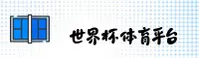世界杯App_官方移动端_中文正版安装